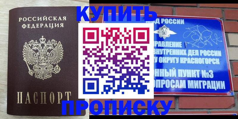 прописка гарантия в Барыше